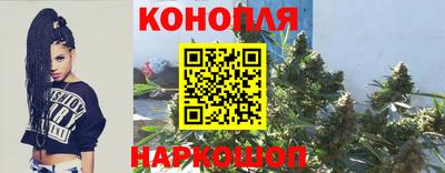 спиды Ставрополь