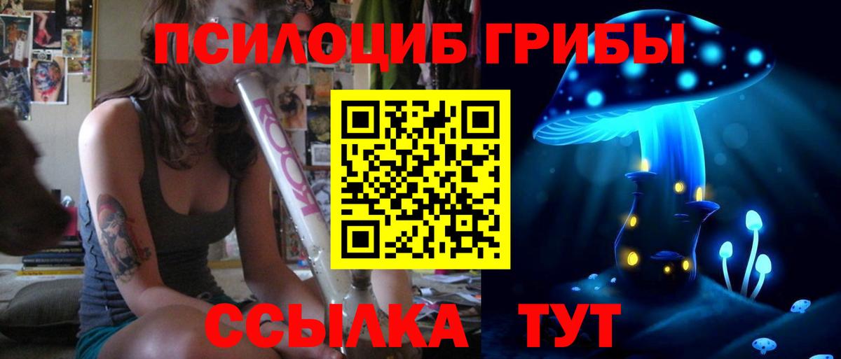 Галлюциногенные грибы Magic Shrooms  купить  цена  Тверь  Вход с VPN 