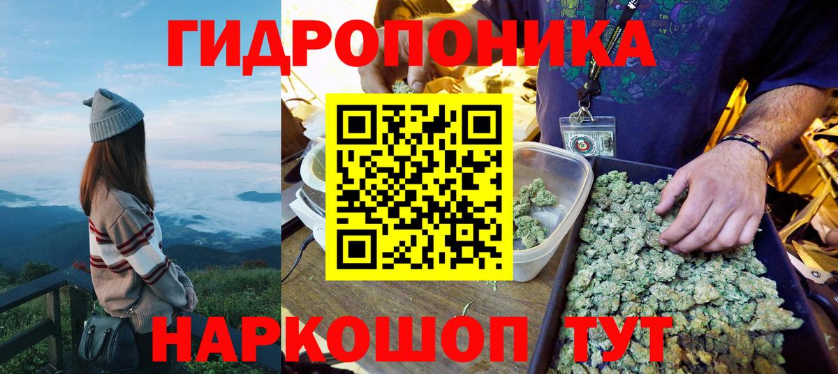 Каннабис семена Тверь